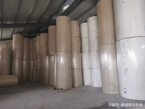 家庭卫生纸加工项目投资与利润分析